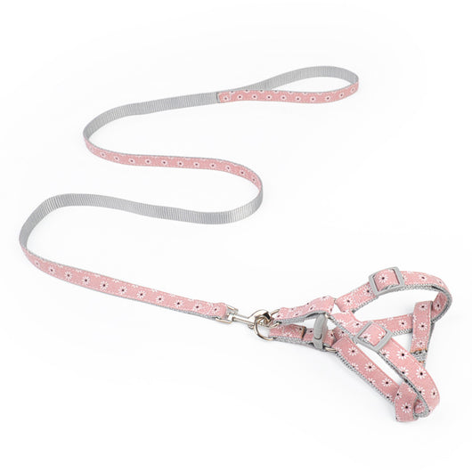 Arnés de Tracción Dual para Pasear Perros con Control Total - Image 12