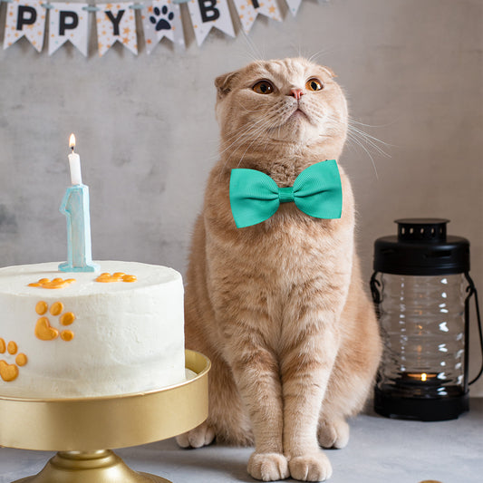 Moño Ajustable para Gatos y Perros - Accesorios para Mascotas