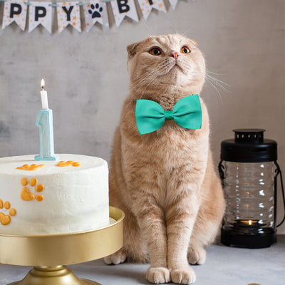 Moño Ajustable para Gatos y Perros - Accesorios para Mascotas