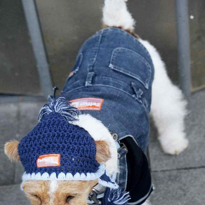Kit de Aseo Profesional para Perros Pequeños - Schnauzer, Bichón y Razas Similares - Image 8