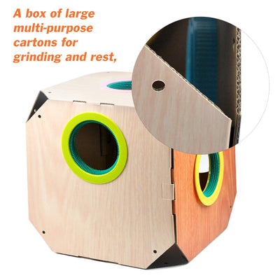 Caja de Cartón Multiusos para Gatos con Removedor de Pelo - Image 13