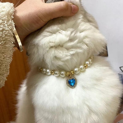 Collar de Perla Gato Celebridad de Internet - Image 5