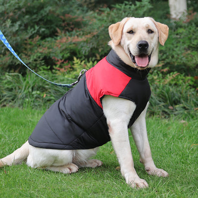 Abrigo Impermeable Acolchado para Perros - Chaleco Térmico con Cierre de Cremallera - Image 15