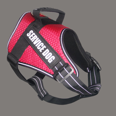 Arnés Personalizado para Mascotas - Image 5