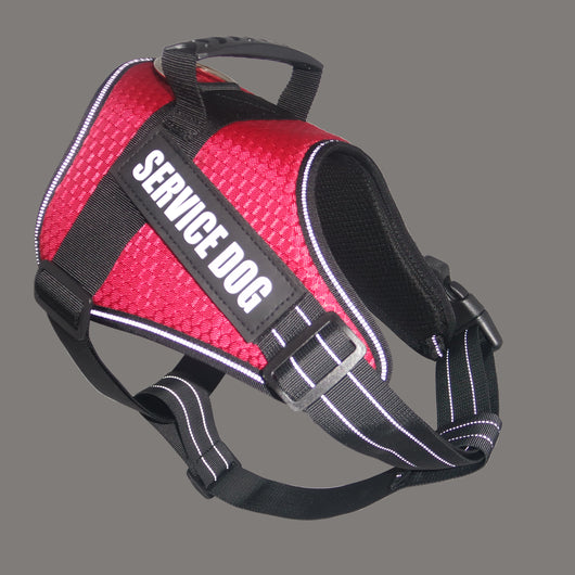 Arnés Personalizado para Mascotas - Image 5