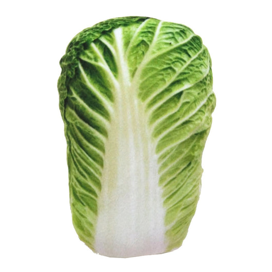 Juguete Mordedor para Perros Vegetales Crujientes con Sonido Chillón - Image 11