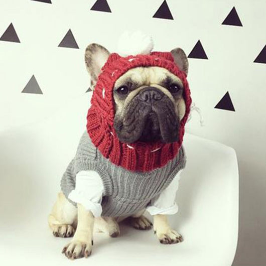 Gorro Divertido para Bulldog Francés y Pug - Image 2