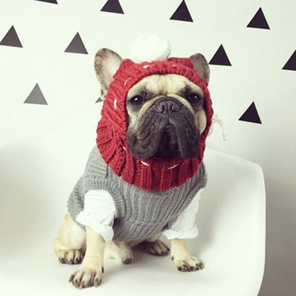 Gorro Divertido para Bulldog Francés y Pug