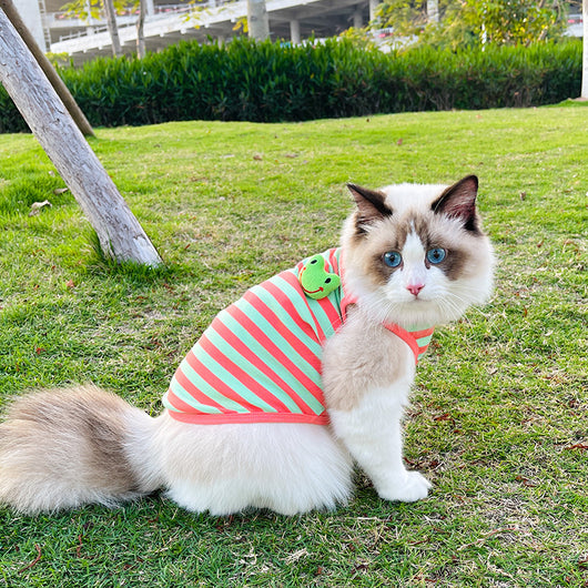 Chaleco Rayado para Perros Pequeños - Ropa Cómoda y Elegante - Image 2
