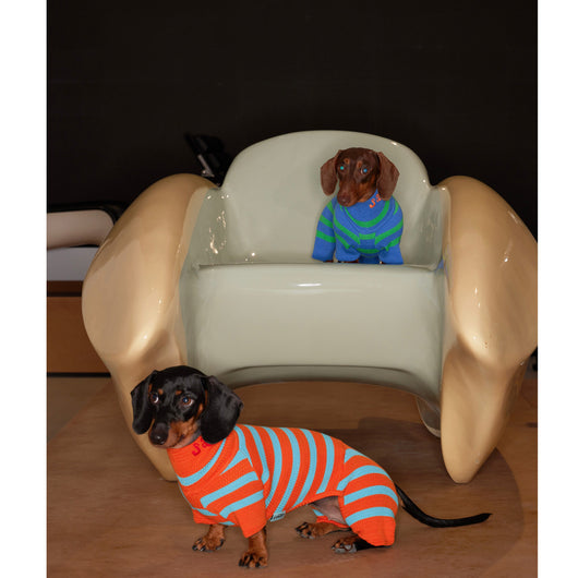 Suéter Elástico para Mascotas con Contraste de Colores - Image 4