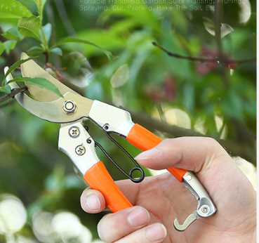Juego de Palas de Jardín Profesional - Image 19
