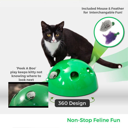 A cute tabby and white kitten with green eyes playing with a bright green dome-shaped interactive cat toy. - Image 6
