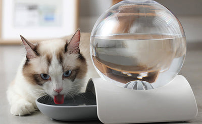 Dispensador Automático de Agua para Mascotas 2.8L con Fuente de Gravedad - Image 15
