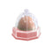 Cat Caramel Base, Pink, 12 G