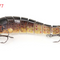 Trout C 4377