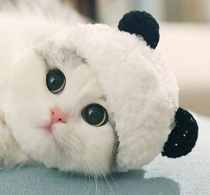 Gorro Panda para Mascotas - Image 3