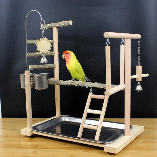 Percha Madera para Loros y Pájaros Exóticos con Diseño Natural