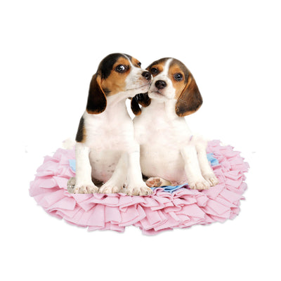 Juguete Interactivo Olfativo para Mascotas con Texturas Mordibles - Image 8