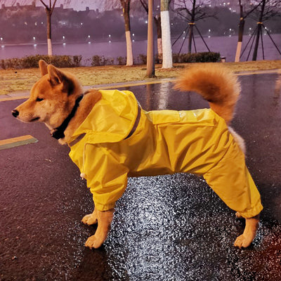 Impermeable con Capucha para Perros Medianos Golden Retriever y Samoyedo - Image 6