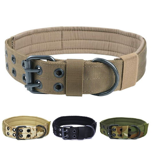Collar para Perro Ajustable de 5 Velocidades con Hebilla de Pasador de Nylon