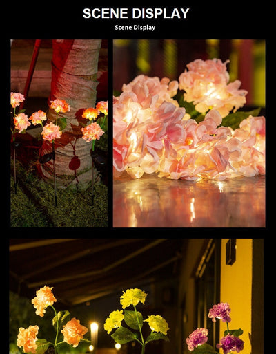 Luces Solares Decorativas para Jardín con Toma de Corriente - Image 30