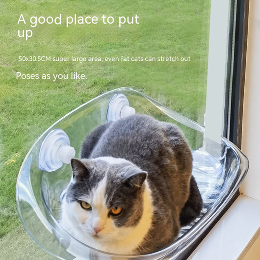 Hamaca para Gatos con Ventosas - Reposo Elevado para Ventanas - Image 4