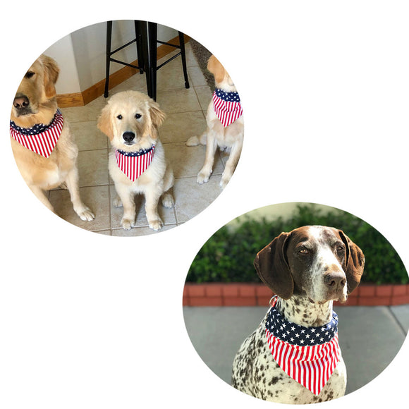 Pañuelo Triangular para Mascotas con Joyería Decorativa