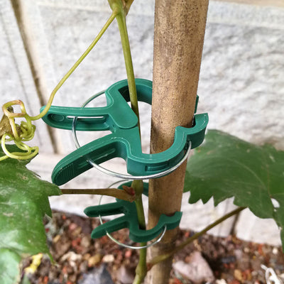 Clip Sujetador para Plantas - Image 2