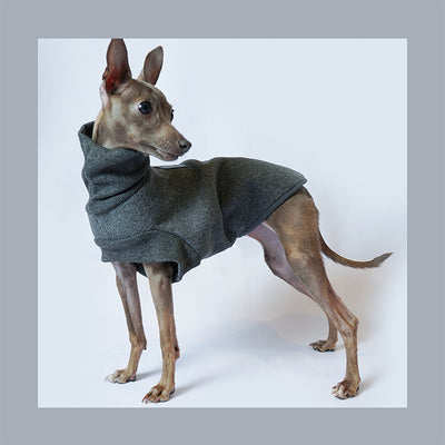 Abrigo Térmico de Felpa para Perros Pequeños - Warmth Bellington - Image 2
