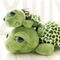 Peluche Tortuga Ojos Grandes