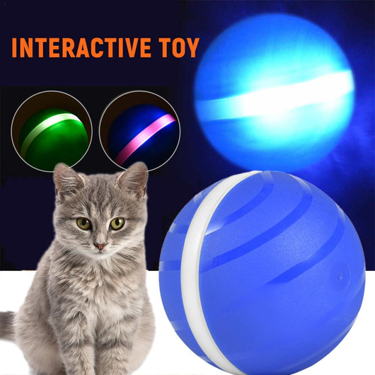 Pink pet toy ball with a white stripe, featuring LED lights for rolling and flashing during play.