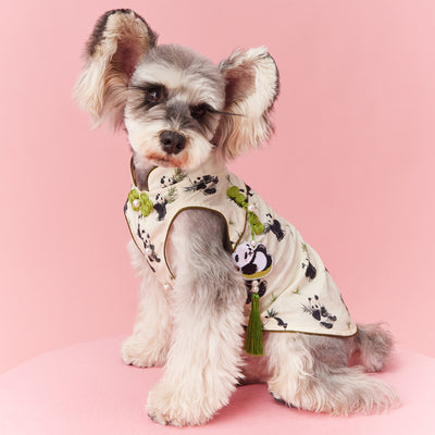 Chaleco sin Mangas Estilo Chino para Mascotas - Diseño Panda Teddy Schnauzer Bichón - Image 3