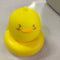 Cute Pet Amarillo Duckling