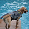 Traje de Baño Dragón Volador para Perros