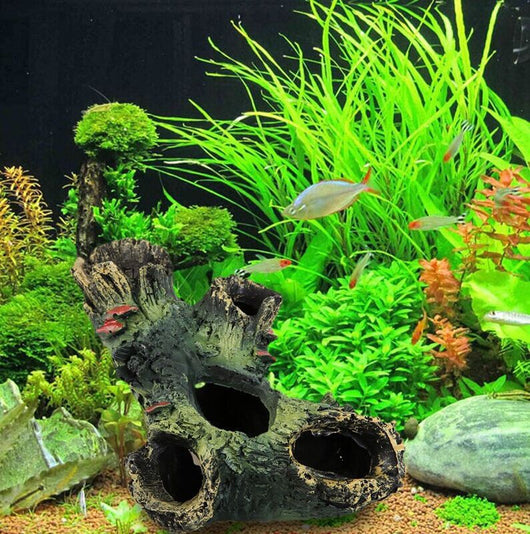 Decoración y Paisajismo para Acuarios - Image 5