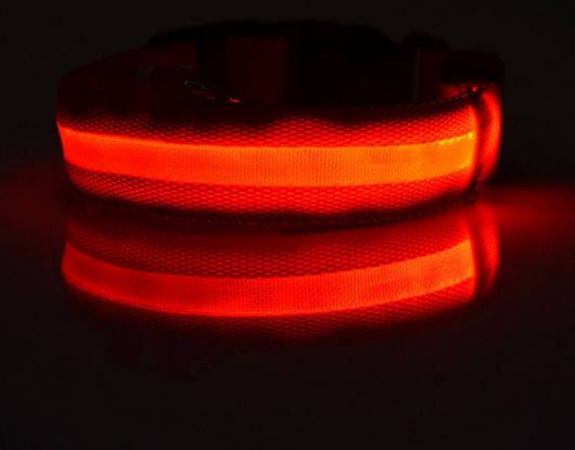 Collar LED Luminoso para Perros y Gatos - Seguridad Nocturna con Luz Fluorescente - Image 16
