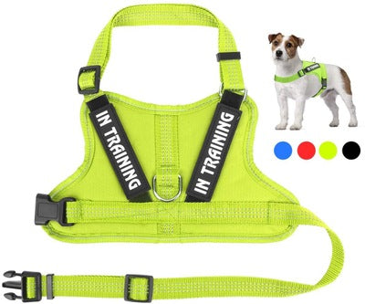 Arnés Personalizado para Mascotas - Image 7