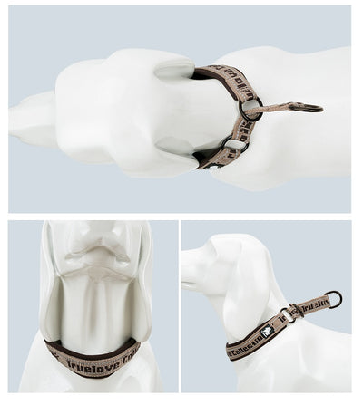 Collar Ajustable para Perro Truelove con Tela de Buceo Reflectante - Image 28