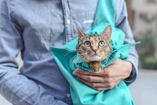 Bolsa Transportadora Portátil para Gatos en Tela Nylon - Image 2