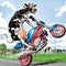 Cuadro Diamante 5D Moto Vaca - Mosaico Diamante DIY