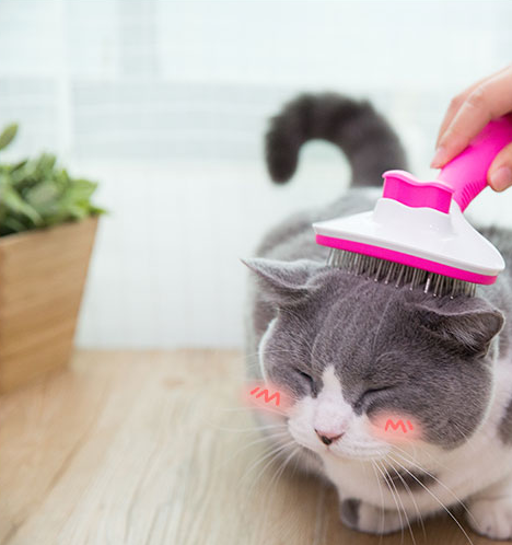 Peine Deslanador para Gatos de Pelo Largo - Image 3