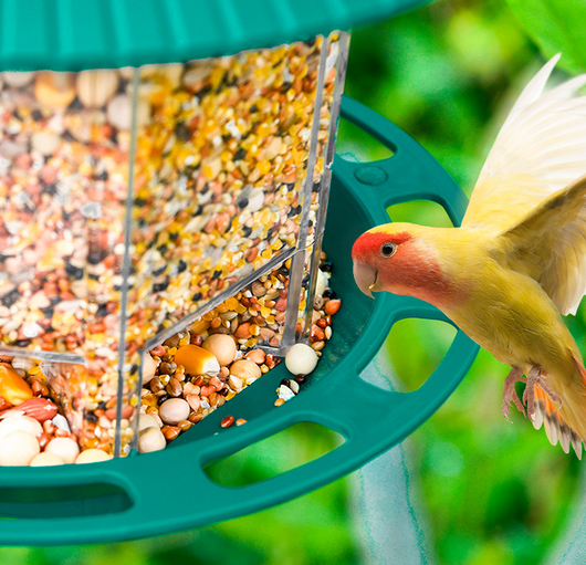 Comedero Colgante Transparente para Pájaros de Jardín - Image 7