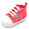 Gipsofila Rosa 11