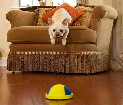 Pelota de Caucho Resistente - Image 6