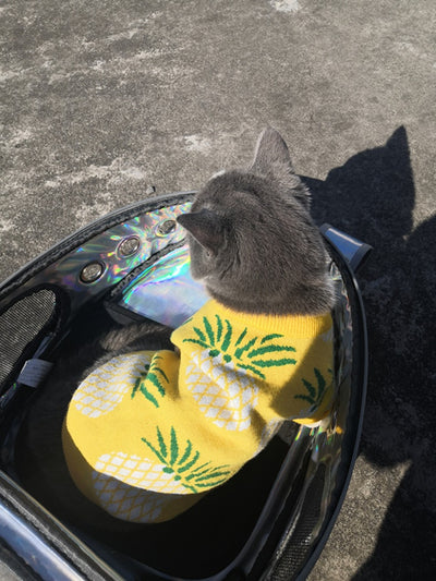 Ropa Navideña para Mascotas con Estampado de Piña - Abrigo Otoño Invierno - Image 8