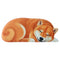 Perro Lindo 7