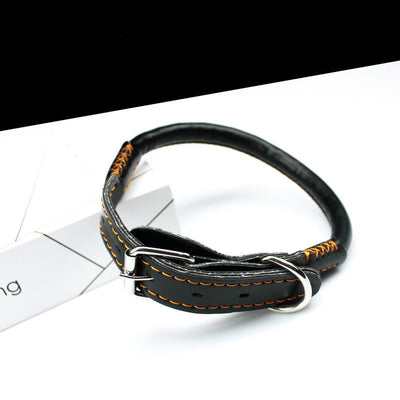 Collar de Cuero Premium con Cuerda para Perros Golden Retriever y Husky Tamaño Mediano-Grande - Image 6