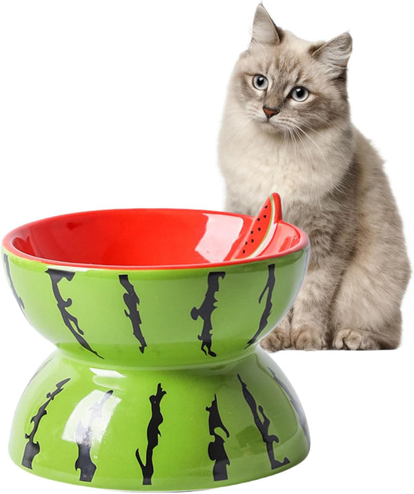 Comedero Elevado de Cerámica para Gatos - Plato Inclinado Antiválvulos para Gatos y Perros Pequeños