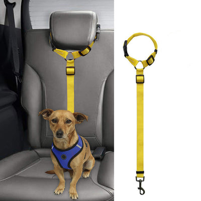 Correa de Seguridad para Mascotas en Auto - Image 17