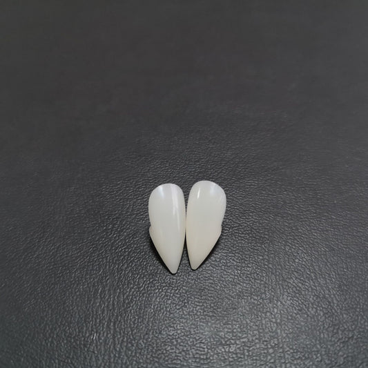 Dentaduras de Vampiro y Zombie para Halloween - Image 2